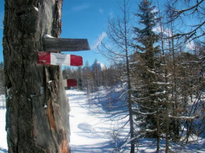 Ferienhaus Hirschnest, St. Pankraz, Österreich